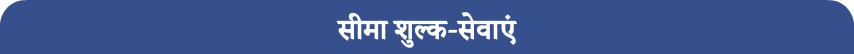 सीमा शुल्क-सेवाएं